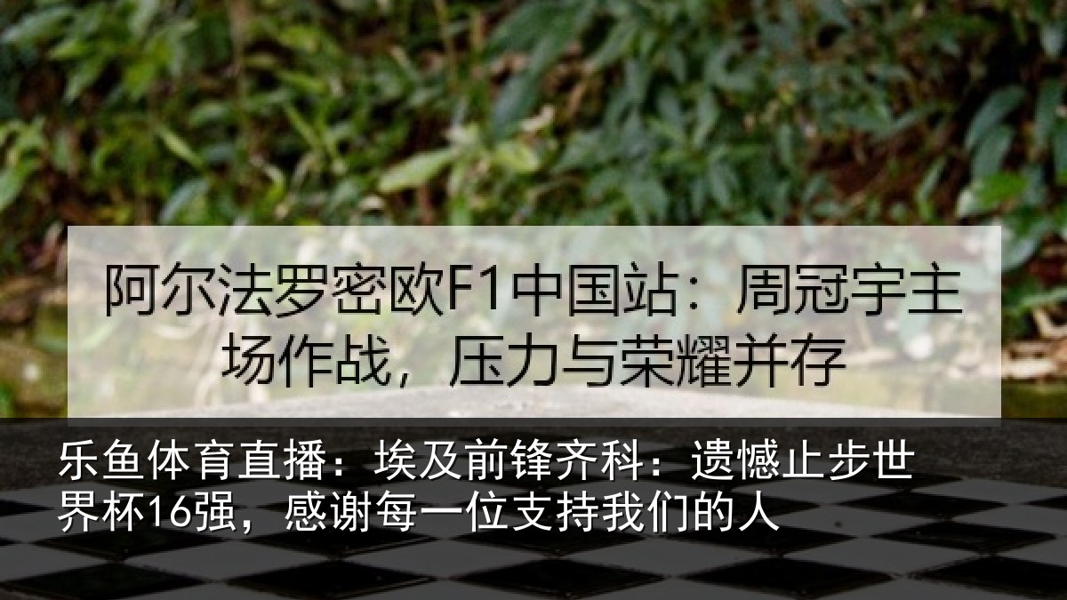 乐鱼体育直播：埃及前锋齐科：遗憾止步世界杯16强，感谢每一位支持我们的人